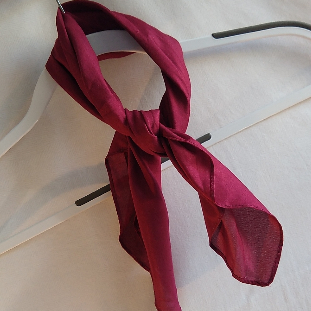 U pick 3/$15 pretty burgundy scarf